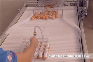 Alinhador orientador dos ovos